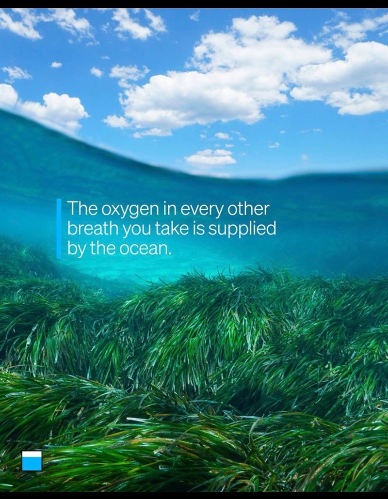 The oxygen in every other breath you take is supplied by the ocean.