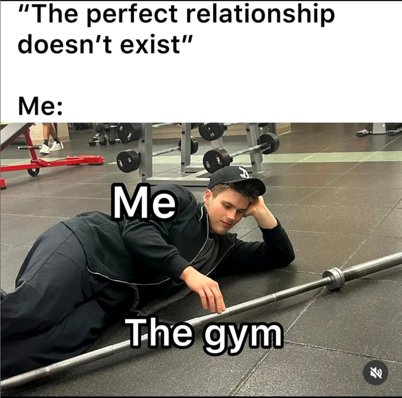 "The perfect relationship doesn't exist" Me: Me The gym E