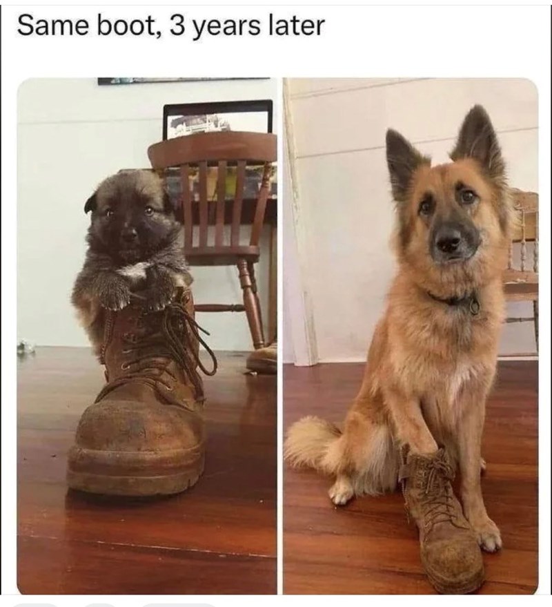 Same boot, 3 years later