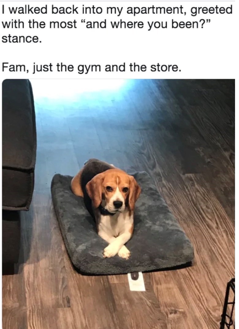 I walked back into my apartment, greeted with the most "and where you been?" stance. Fam, just the gym and the store.