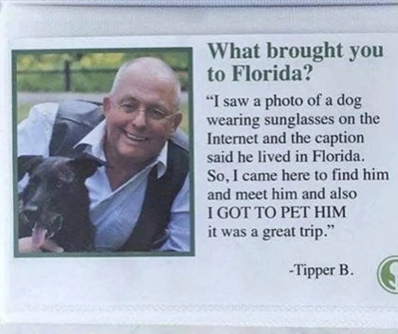 What brought you to Florida? "I saw a photo of a dog wearing sunglasses on the Internet and the caption said he lived in Florida. So, I came here to find him and meet him and also I GOT TO PET HIM it was a great trip." -Tipper B.