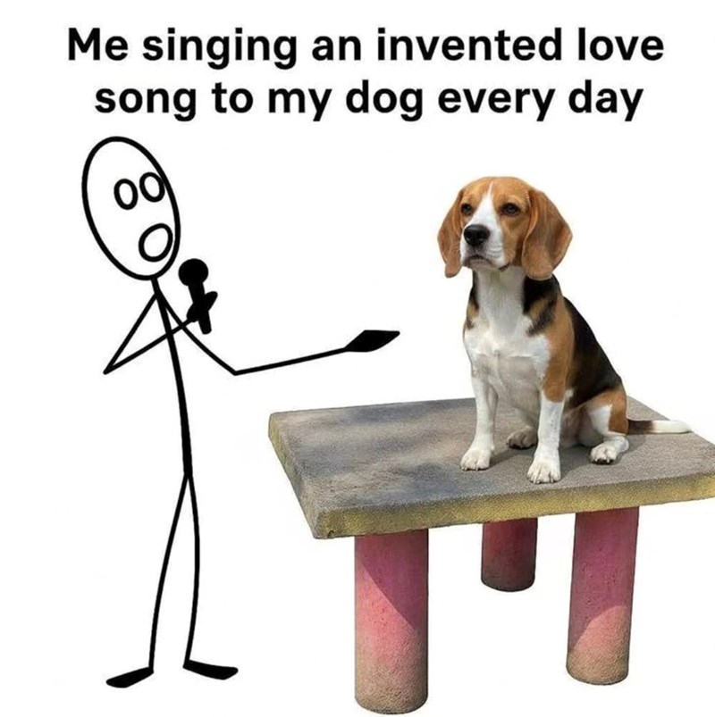 Me singing an invented love song to my dog every day 00