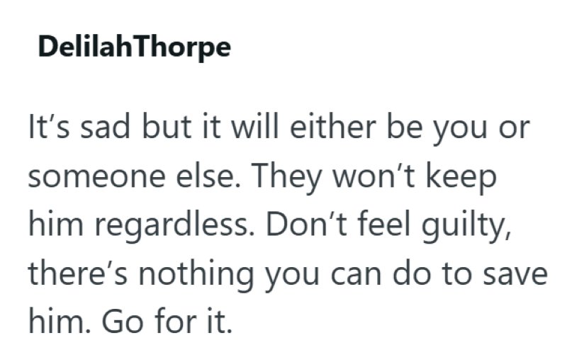 Delilah Thorpe It's sad but it will either be you or someone else. They won't keep him regardless. Don't feel guilty, there's nothing you can do to save him. Go for it.