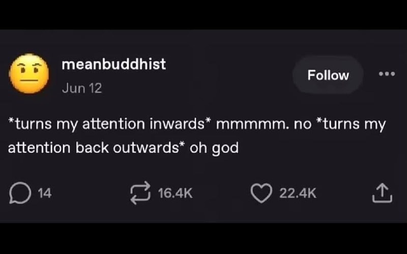 meanbuddhist Jun 12 Follow *turns my attention inwards* mmmmm. no *turns my attention back outwards* oh god 14 16.4K 22.4K