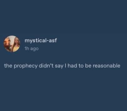 mystical-asf 1h ago the prophecy didn't say I had to be reasonable