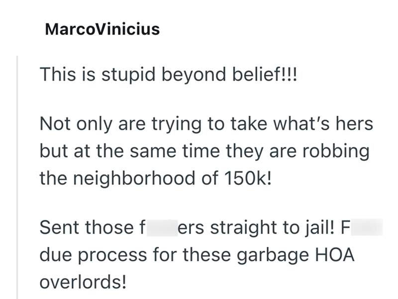 MarcoVinicius This is stupid beyond belief!!! Not only are trying to take what's hers but at the same time they are robbing the neighborhood of 150k! Sent those f ers straight to jail! F due process for these garbage HOA overlords!