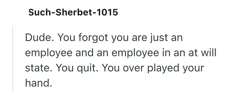Such-Sherbet-1015 Dude. You forgot you are just an employee and an employee in an at will state. You quit. You over played your hand.