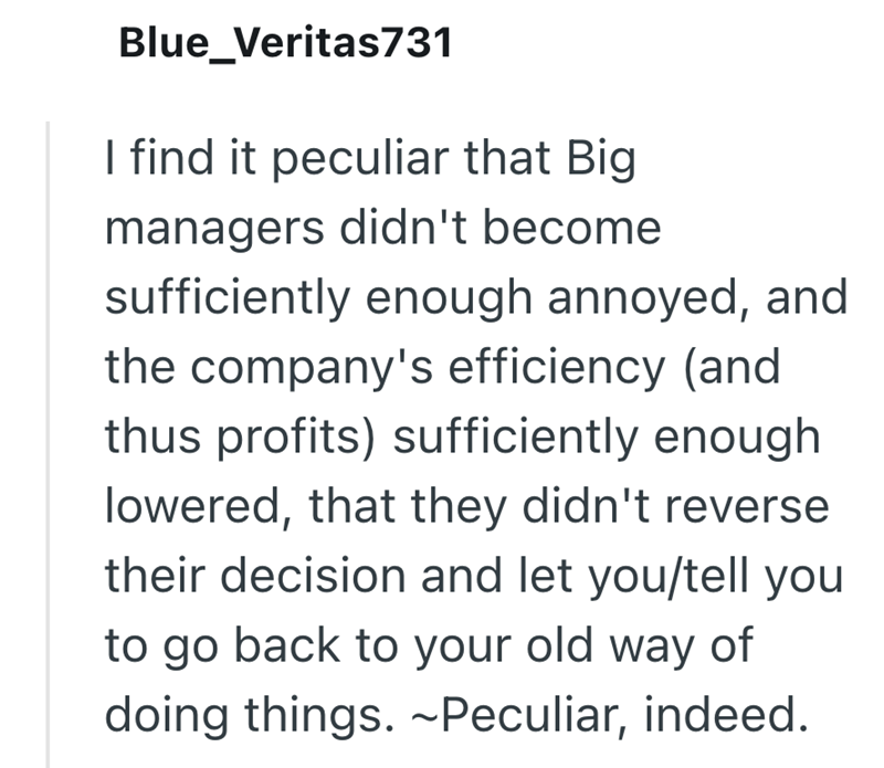 Blue_Veritas731 I find it peculiar that Big managers didn't become sufficiently enough annoyed, and the company's efficiency (and thus profits) sufficiently enough lowered, that they didn't reverse their decision and let you/tell you to go back to your old way of doing things. ~Peculiar, indeed.