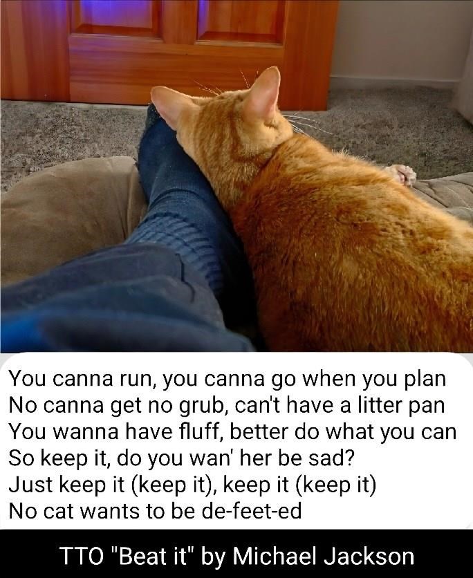 You canna run, you canna go when you plan No canna get no grub, can't have a litter pan You wanna have fluff, better do what you can So keep it, do you wan' her be sad? Just keep it (keep it), keep it (keep it) No cat wants to be de-feet-ed TTO "Beat it" by Michael Jackson