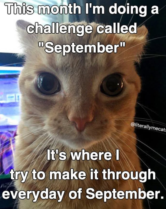 This month I'm doing a challenge called "September" @literallymecats It's where I try to make it through everyday of September.