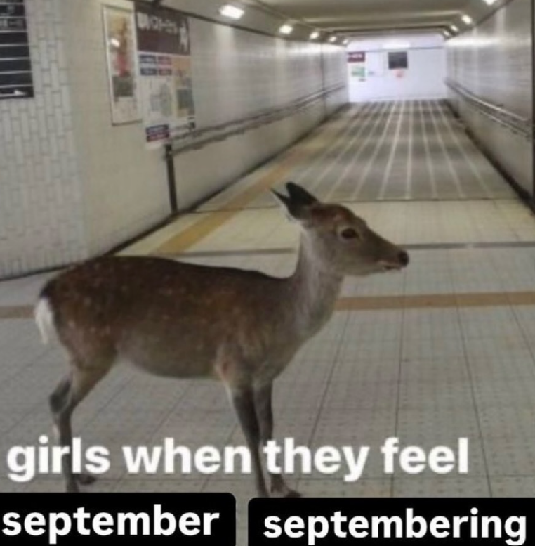girls when they feel september septembering