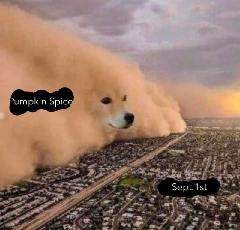Pumpkin Spice Sept. 1st