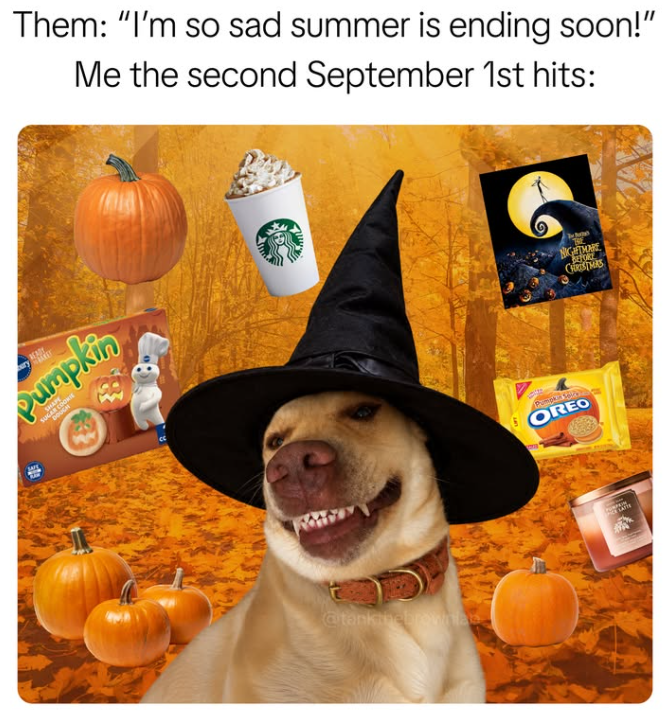 Them: "I'm so sad summer is ending soon!" Me the second September 1st hits: READY Pumpkin @tankanebrownila OREO NIGHT MORE BEFORE CHRISTMAS