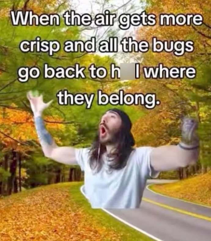 When the air gets more crisp and all the bugs go back to h where they belong.