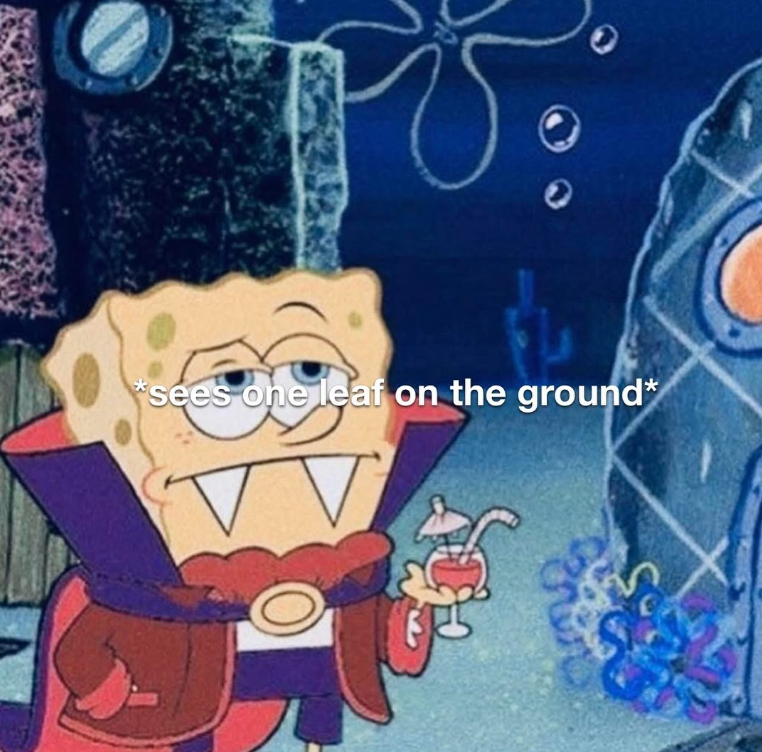 *sees one leaf on the ground* V