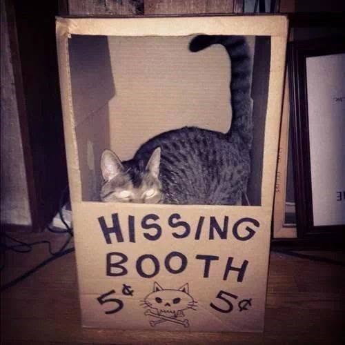 E HISSING BOOTH 5ª 50 54