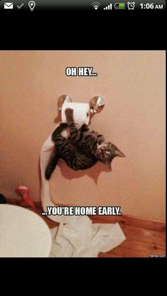 OH HEY... ...YOU'RE HOME EARLY. 1:06 AM memes com