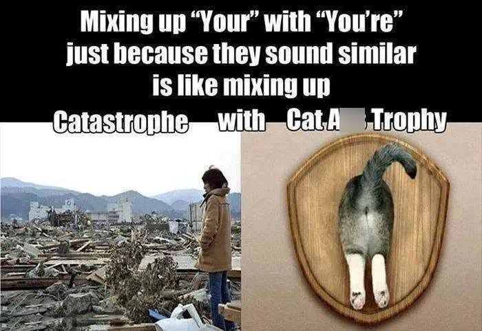 Mixing up "Your" with "You're" just because they sound similar is like mixing up Catastrophe with Cat A Trophy