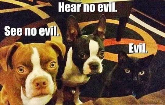 See no evil. Hear no evil. Evil. 0 ว