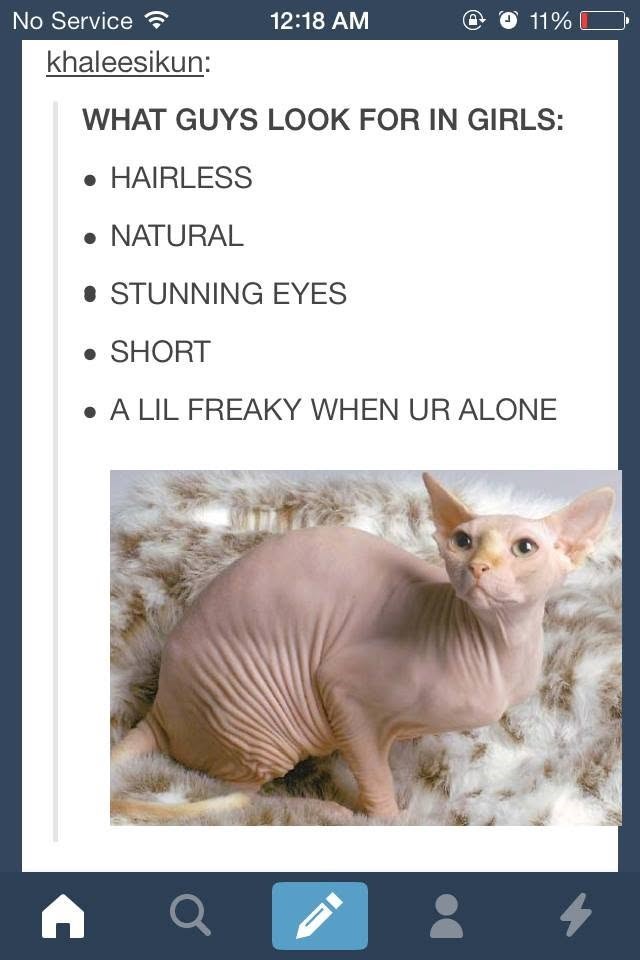 No Service khaleesikun: 12:18 AM 11% C WHAT GUYS LOOK FOR IN GIRLS: • HAIRLESS • NATURAL ⚫ STUNNING EYES • SHORT • A LIL FREAKY WHEN UR ALONE A Q $