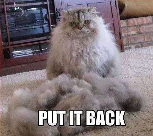 PUT IT BACK