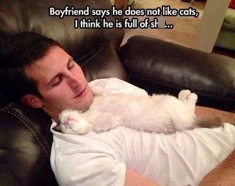Boyfriend says he does not like cats, I think he is full of sh !..