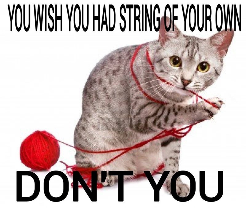 YOU WISH YOU HAD STRING OF YOUR OWN DON'T YOU