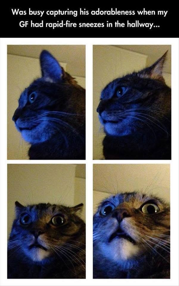 Was busy capturing his adorableness when my GF had rapid-fire sneezes in the hallway...