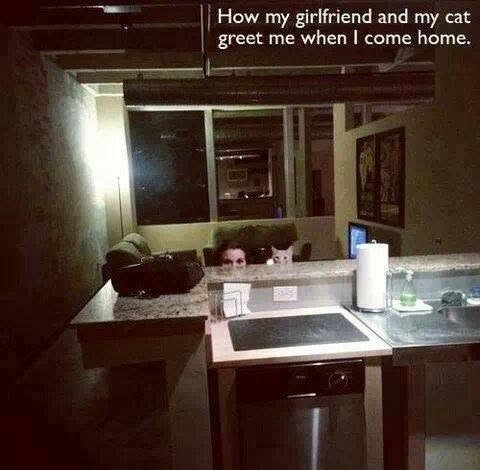 How my girlfriend and my cat greet me when I come home.