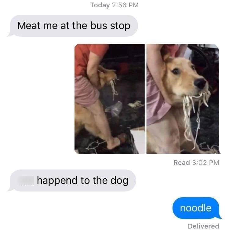 Today 2:56 PM Meat me at the bus stop happend to the dog Read 3:02 PM noodle Delivered