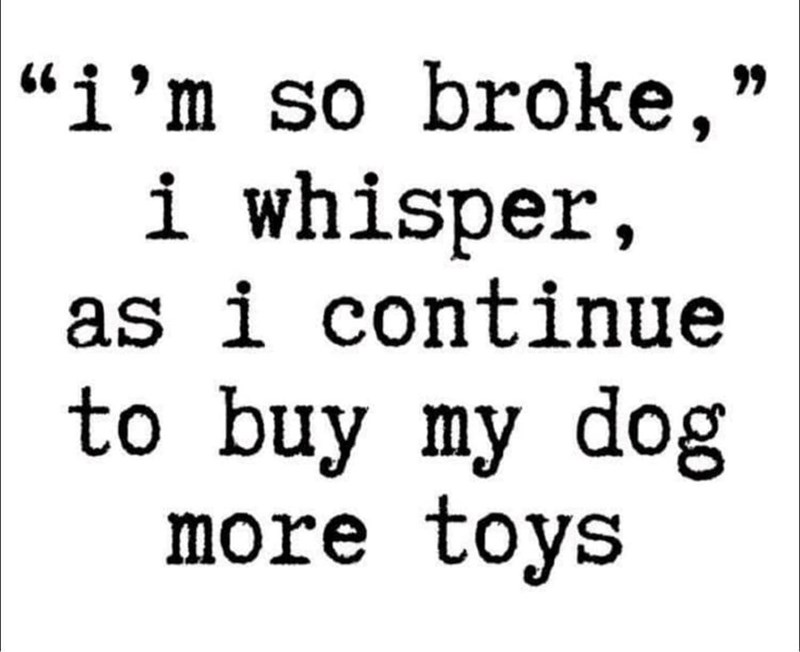 "i'm so broke,” i whisper, as i continue to buy my dog more toys