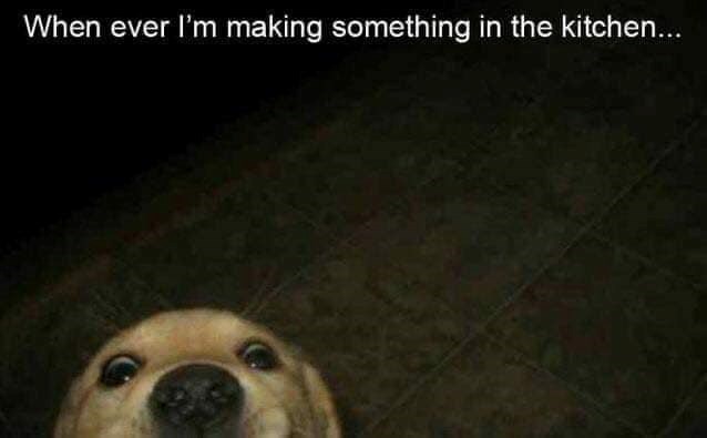 When ever I'm making something in the kitchen...
