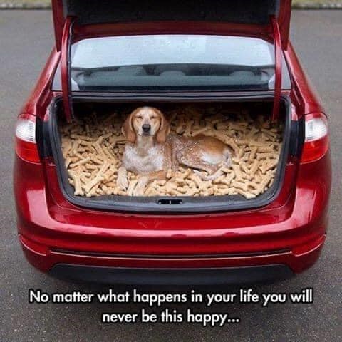 No matter what happens in your life you never be this happy... will