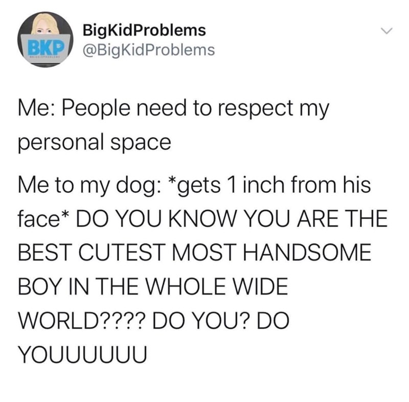 BigKidProblems BKP @BigKidProblems Me: People need to respect my personal space Me to my dog: *gets 1 inch from his face* DO YOU KNOW YOU ARE THE BEST CUTEST MOST HANDSOME BOY IN THE WHOLE WIDE WORLD???? DO YOU? DO YOUUUUUU