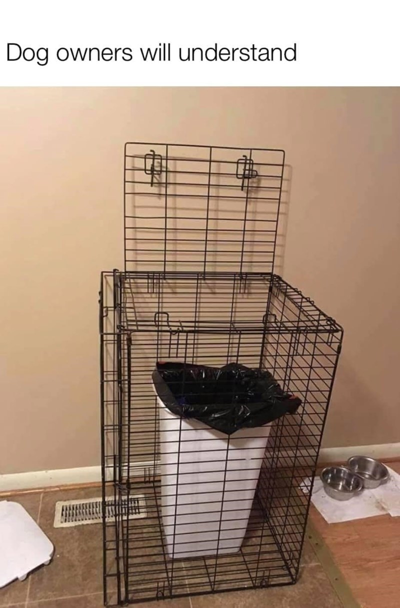 Dog owners will understand