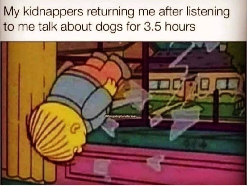 My kidnappers returning me after listening to me talk about dogs for 3.5 hours