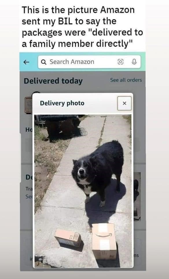 This is the picture Amazon sent my BIL to say the packages were "delivered to a family member directly" Q Search Amazon Delivered today See all orders На Delivery photo De Tra Se × ns