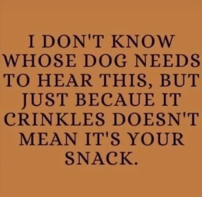I DON'T KNOW WHOSE DOG NEEDS TO HEAR THIS, BUT JUST BECAUE IT CRINKLES DOESN'T MEAN IT'S YOUR SNACK.