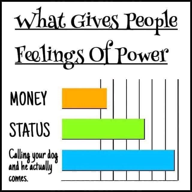 What Gives People Feelings of Power MONEY STATUS Calling your dog and he actually Comes.