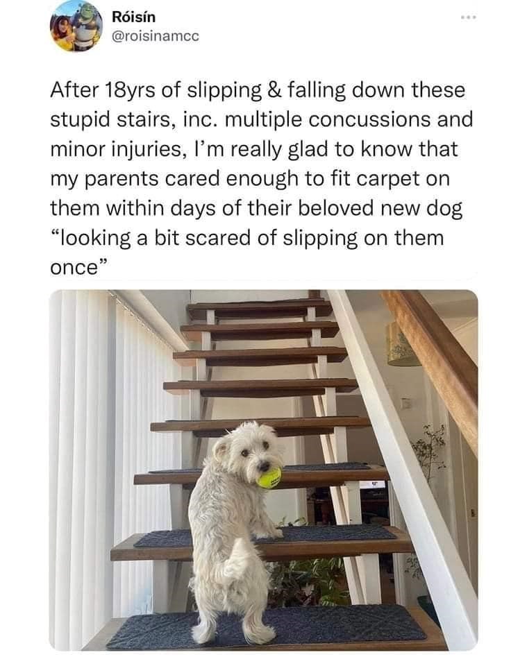 Róisín @roisinamcc After 18yrs of slipping & falling down these stupid stairs, inc. multiple concussions and minor injuries, I'm really glad to know that my parents cared enough to fit carpet on them within days of their beloved new dog "looking a bit scared of slipping on them once"