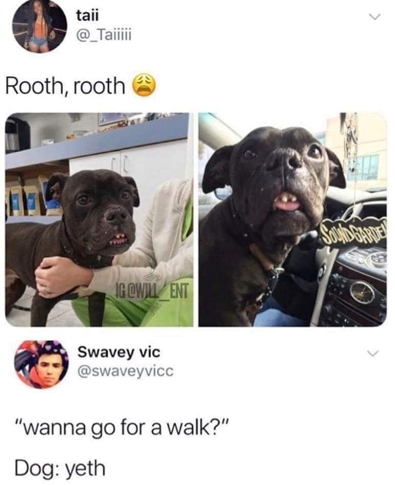 taii @_Taiiiii Rooth, rooth IG @WILL ENT Swavey vic @swaveyvicc "wanna go for a walk?" Dog: yeth SOUNDGARDE
