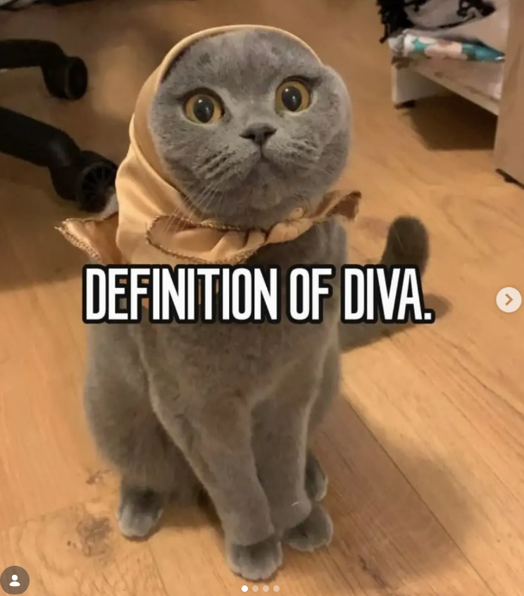 DEFINITION OF DIVA. >