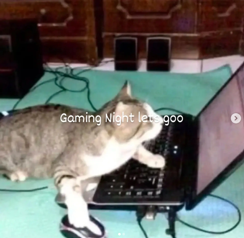 Gaming Night lets goo