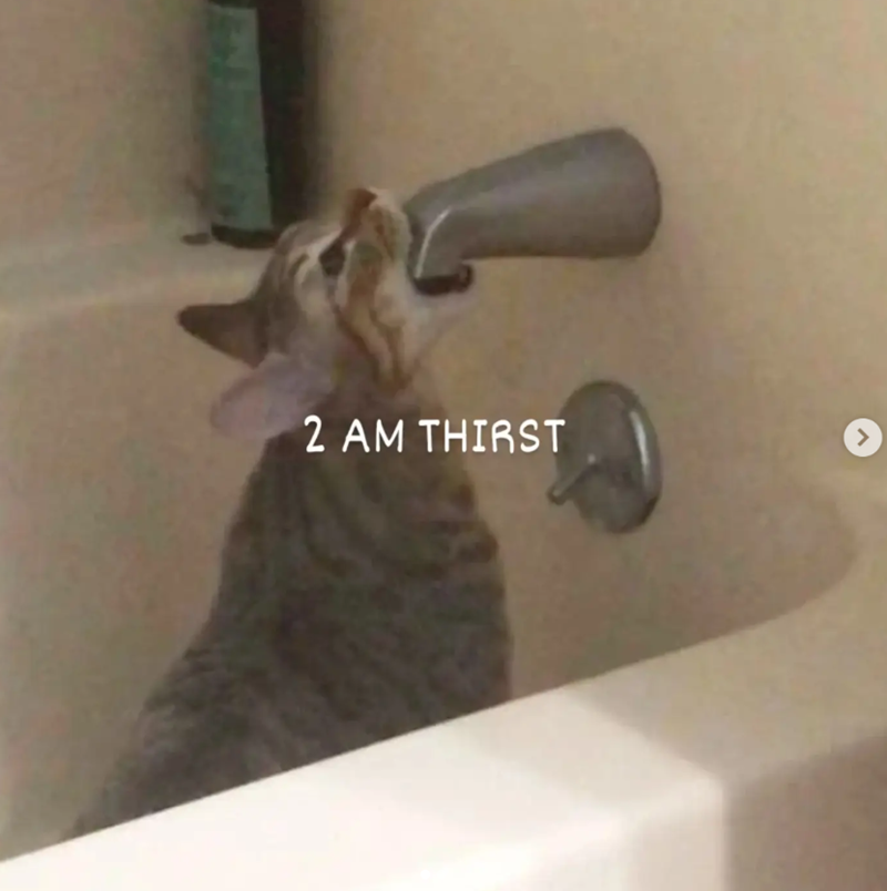 2 AM THIRST >