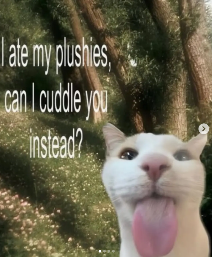 I ate my plushies, can I cuddle you instead? ر