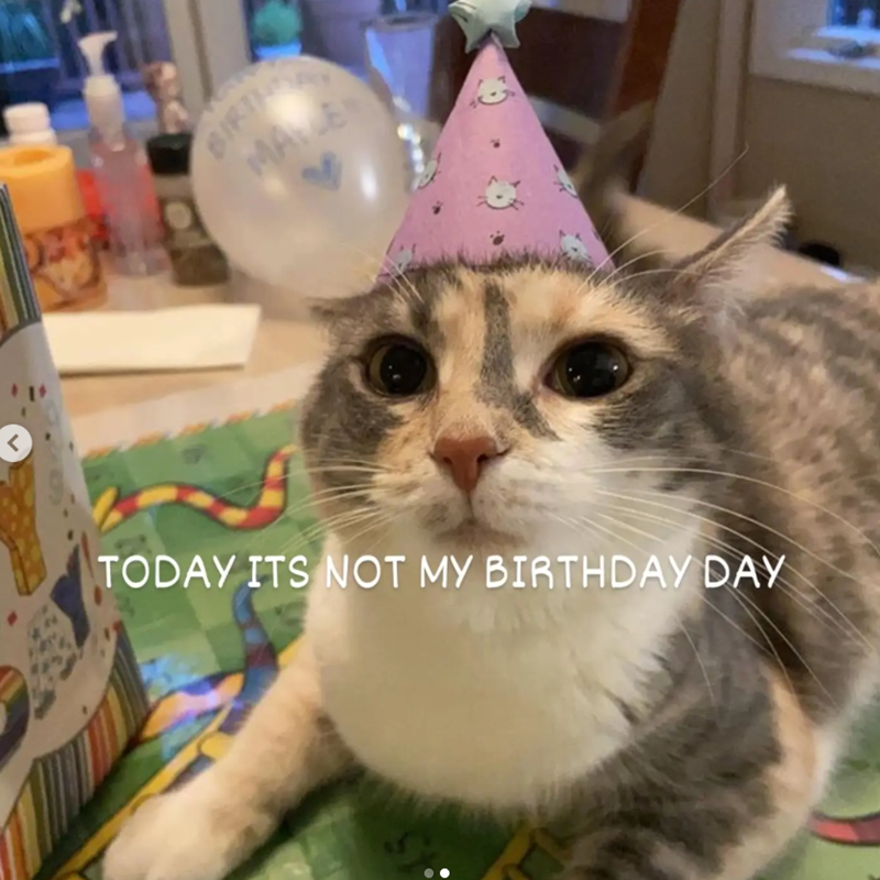 < BIRTH MALE TODAY ITS NOT MY BIRTHDAY DAY