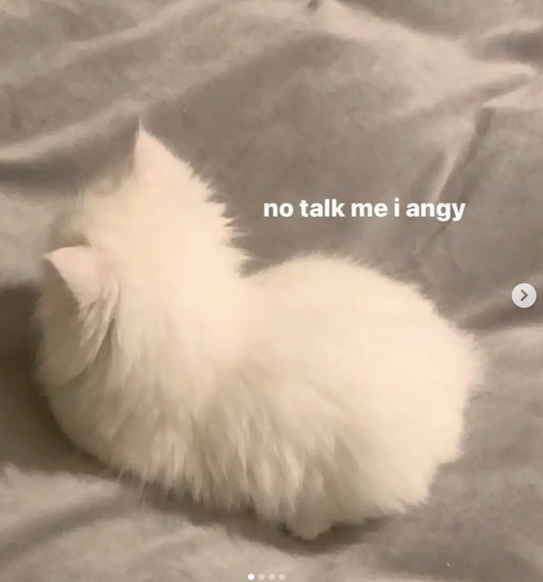 no talk me i angy >