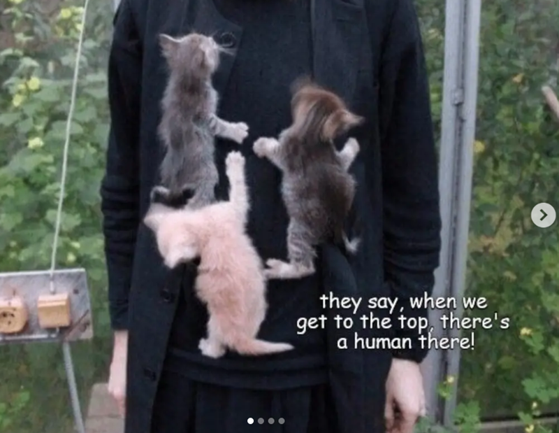 they say, when we get to the top, there's a human there! J