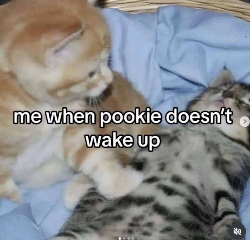 me when pookie doesn't wake up > 71