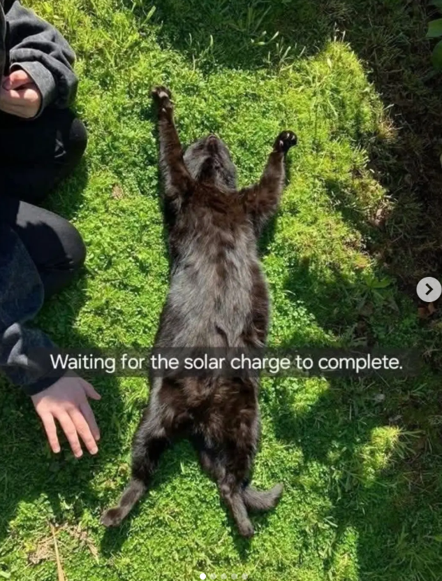 Waiting for the solar charge to complete.